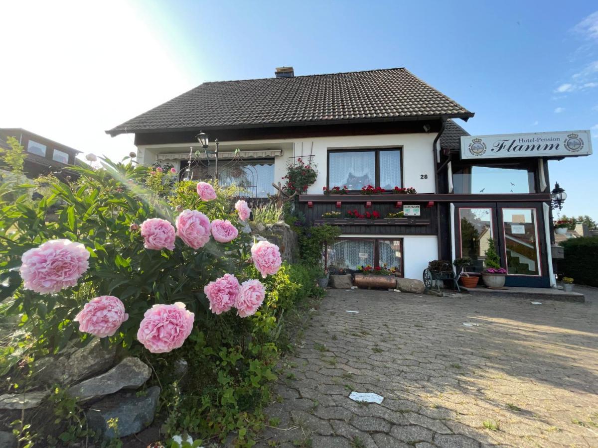 Hotel-Pension Flamm Braunlage Exterior foto